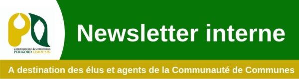 Newsletter interne (4)
