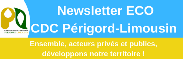 newsletter-4