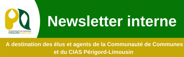 newsletter-11
